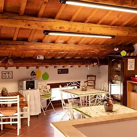 Casa Stefy 3*